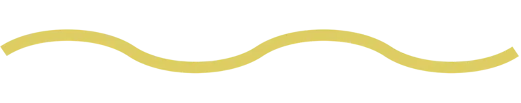 A wavy, mustard-yellow line graphic stretching horizontally across a white background.slider_item_nUVKzf